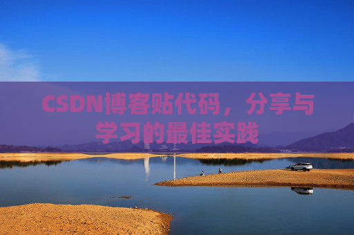 CSDN博客贴代码，分享与学习的最佳实践